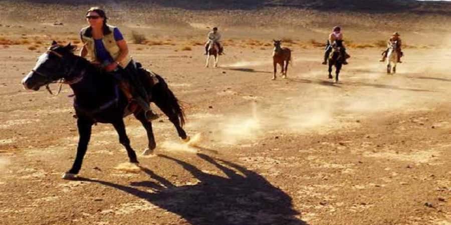 Luxor: Scenic Camel or Horse Ride - Rural sights you’ll actually see: mango, banana, and real neighborhood edges