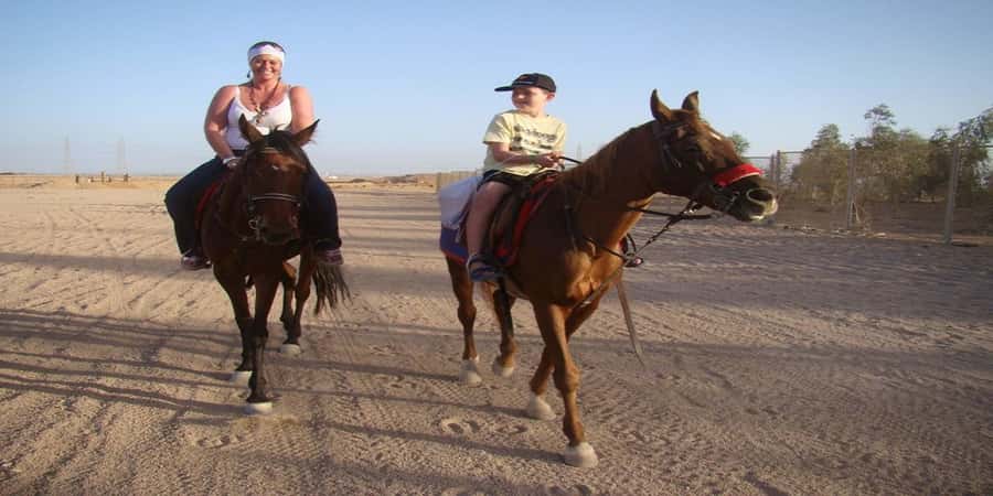 Luxor: Scenic Camel or Horse Ride - Animals matter: the strong point is how the camels and horses are treated