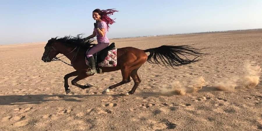 Luxor: Scenic Camel or Horse Ride - Price and value: what $15 buys you in real terms