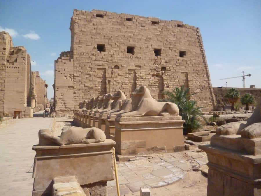 Luxor: West and East Banks All-Inclusive Tour & Balloon Ride - Lunch stop: fuel up before the East Bank pace picks up