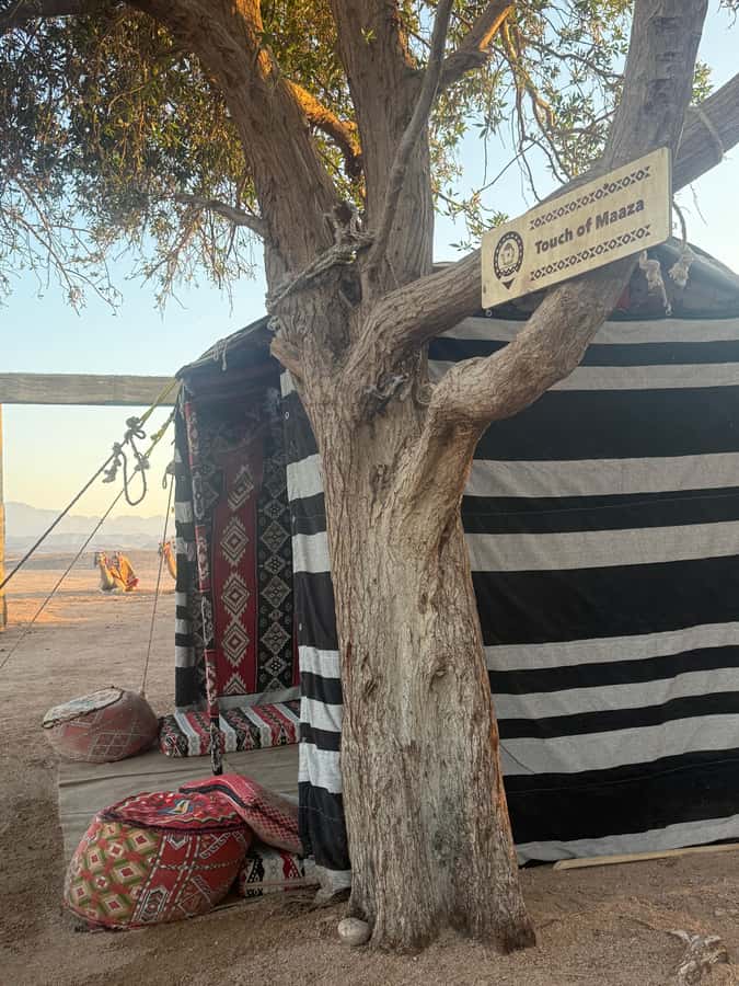 Makadi Bay: BADU Luxury Bedouin Dinner Experience & Stargaze - Entering BADU Camp: Tea, Calm, and a Real Evening Rhythm