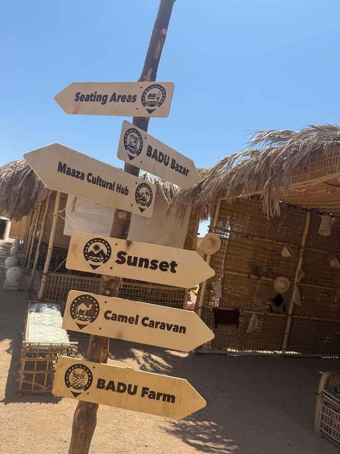 Makadi Bay: BADU Luxury Bedouin Dinner Experience & Stargaze - Price and Value at Around $45: What You’re Paying For