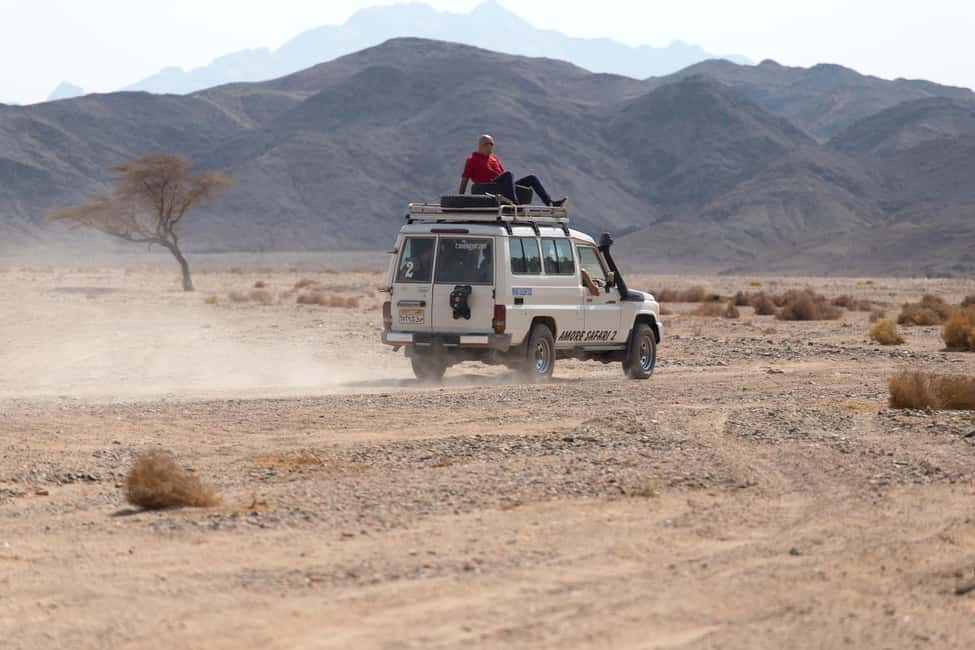 Marsa Alam Bedouin Nights: Jeep Safari, Dinner & Stargazing - Who should book this Bedouin night?