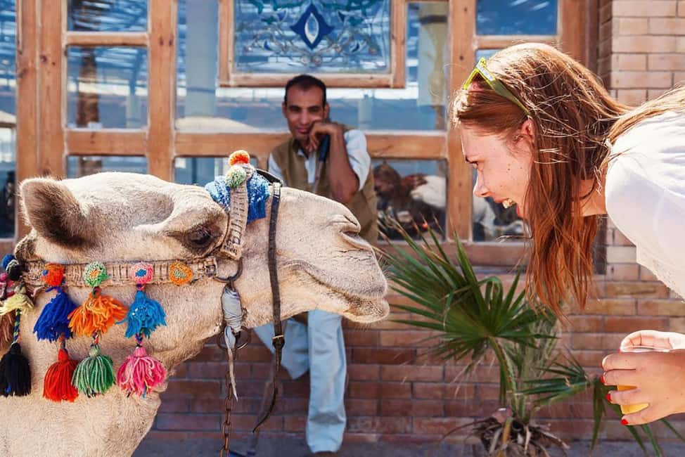 Marsa Alam Bedouin Nights: Jeep Safari, Dinner & Stargazing - Price and value: does $76 make sense?