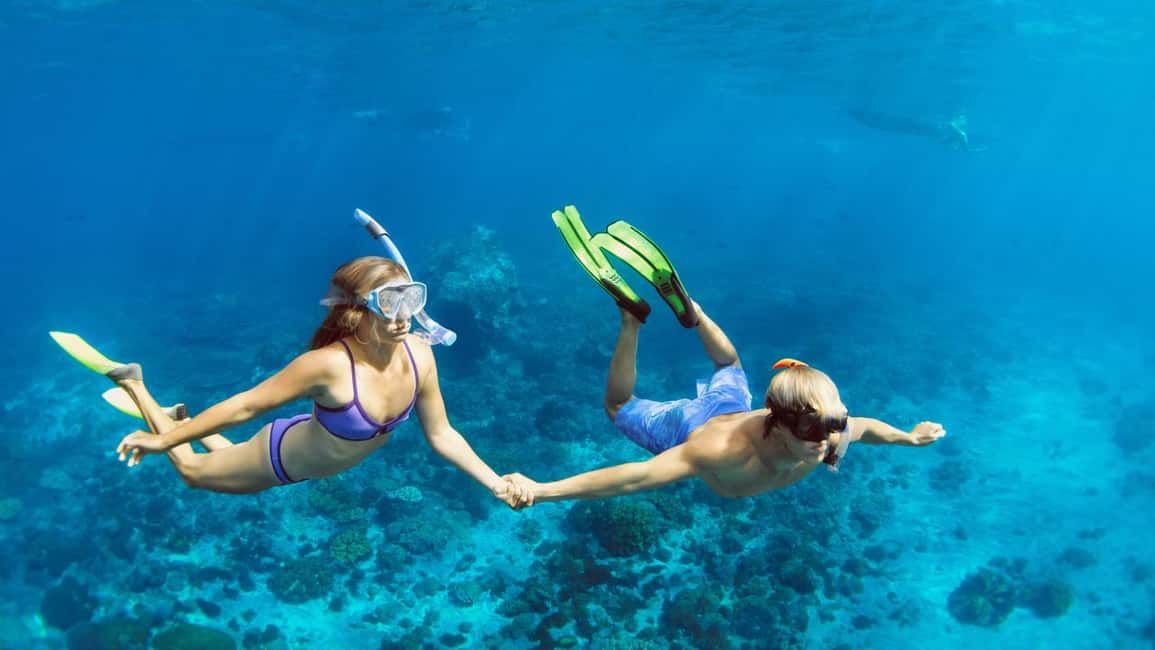 Marsa Alam: Dolphin House Adventure at Shaab Samadai Reef - The day’s rhythm: how the boat, reef stops, and snorkeling work