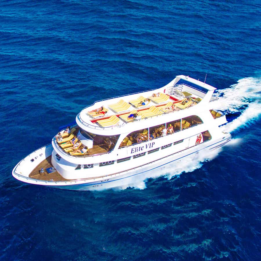 Marsa Alam: Elite vip Turtle bay snorkeling with BBQ Lunch - Why the Elite VIP boat feels different from standard day trips