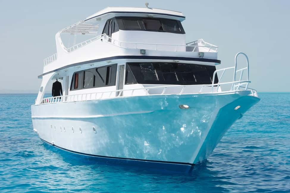 Marsa Alam: Hamata Island Snorkeling Trip with Lunch - Wildlife spotting without the hype: dolphins, turtles, rays, and birds