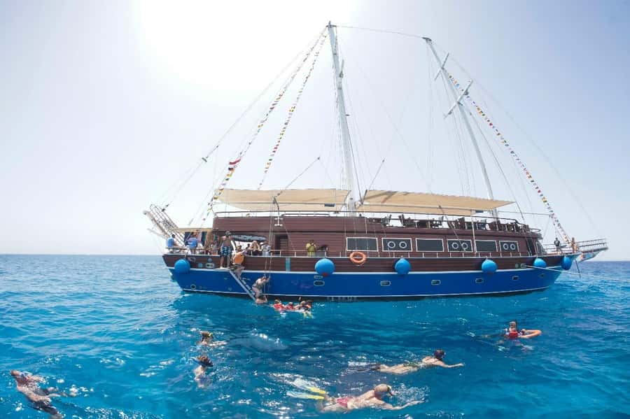 Marsa Alam: Pirates Premium Boat to turtle bay with lunch - Returning to Port Ghalib: don’t schedule tight connections