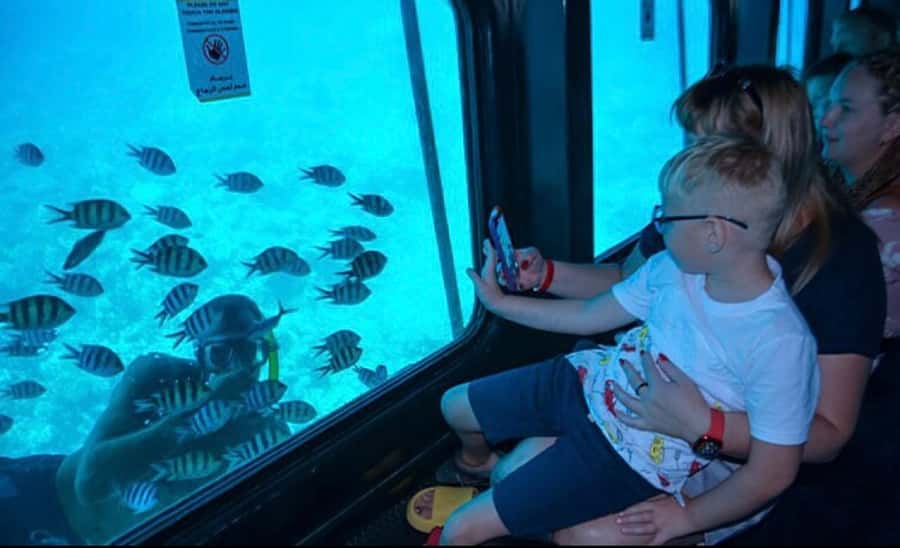 Marsa Alam: Royal Seascope Submarine Cruise with Pickup - Who this tour suits best (and who should look elsewhere)