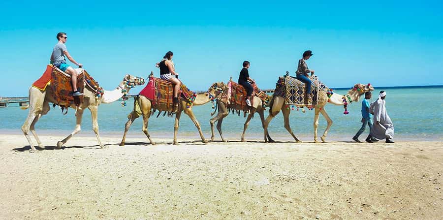 Marsa Alam: Sea and Desert Camel Riding Tour - Desert-to-Sea Camel Riding in Marsa Alam: the real appeal
