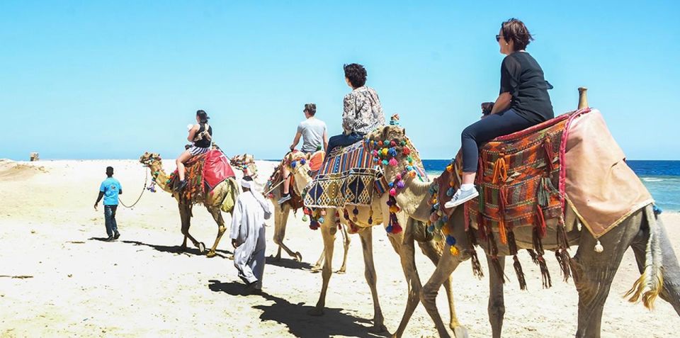 Marsa Alam: Sea and Desert Camel Riding Tour - The 2-hour ride: desert dunes, Red Sea edge, and photo moments