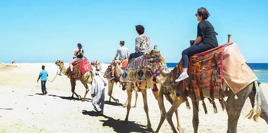 Marsa Alam: Sea and Desert Camel Riding Tour - Sunrise desert breakfast: why that extra stop feels worth it