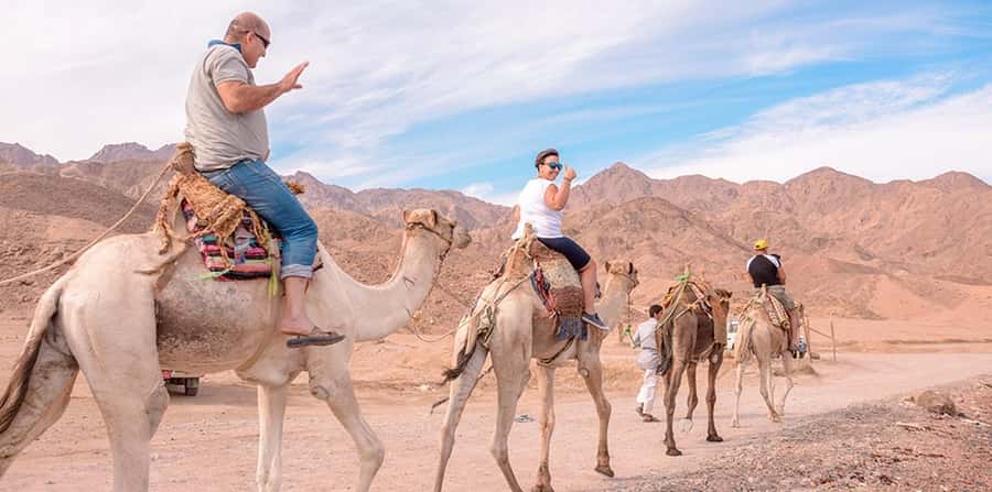Marsa Alam: Sea and Desert Camel Riding Tour - Safety and comfort: helmets, sand protection, and who should skip