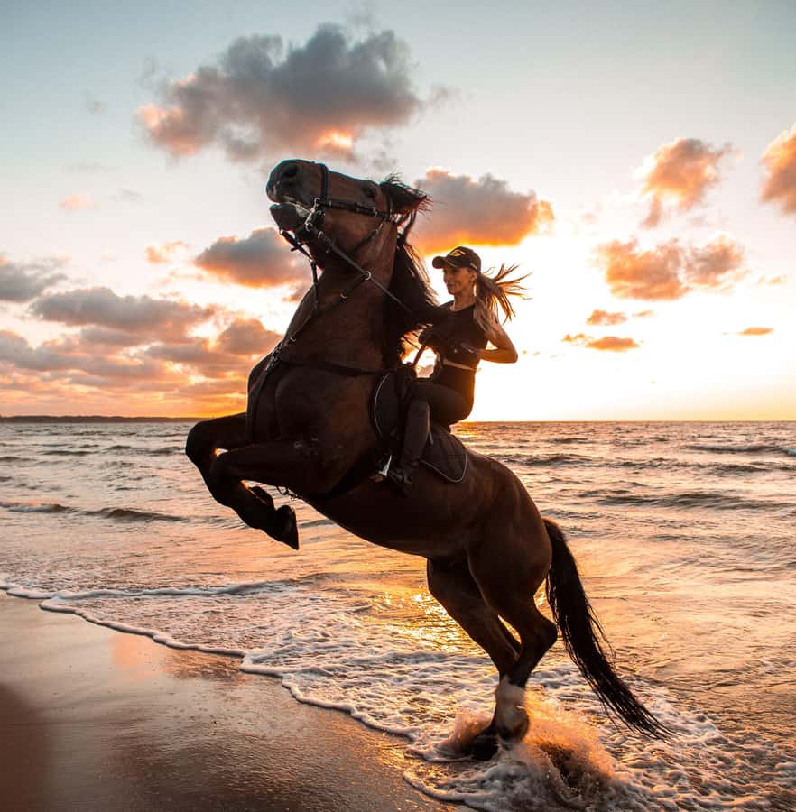 Marsa Alam: Sea and Desert Horse Riding Tour - Quick hits before you go