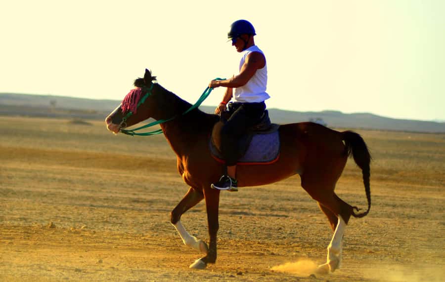 Marsa Alam: Sea and Desert Horse Riding Tour - What to bring: the short list that saves your day