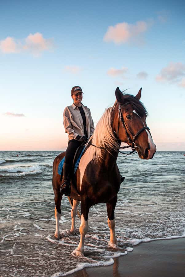 Marsa Alam: Sea and Desert Horse Riding Tour - The standard 2-hour tour: what you’ll do and where it shines