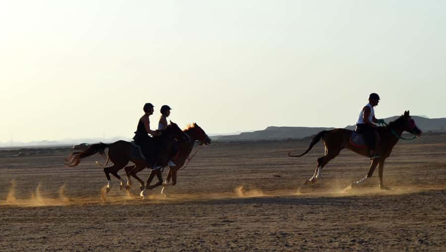 Marsa Alam: Sea and Desert Horse Riding Tour - Hotel pickup, meeting point, and getting there without losing time