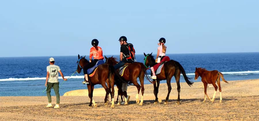 Marsa Alam: Sea and Desert Horse Riding Tour - Price and value: is $33 per person actually fair?
