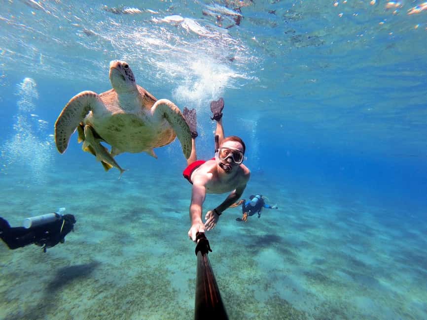 Marsa Alam: Snorkeling with Sea Turtles Marsa Mubarak - Marsa Mubarak Snorkeling: Sea Turtles, Coral Reefs, and the Pace of a Boat Day