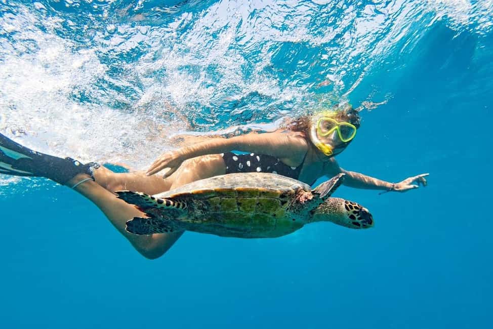 Marsa Alam: Snorkeling with Sea Turtles Marsa Mubarak - Reef Time 101: How the Guided Snorkeling Feels at Marsa Mubarak