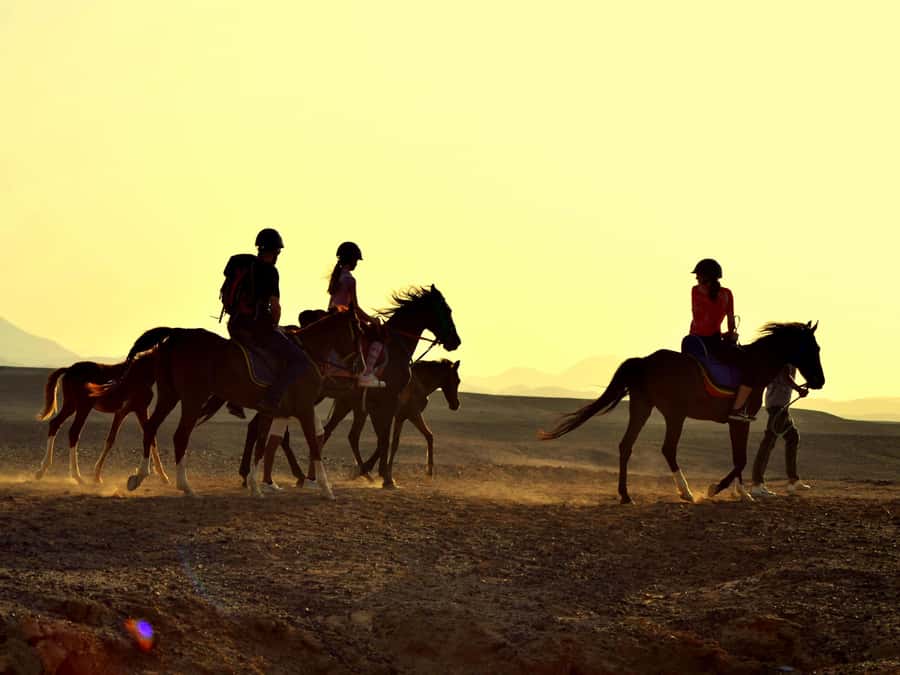 Marsa Alam: Sunrise Horseback with Breakfast - Sunrise in Marsa Alam: what early light really gives you