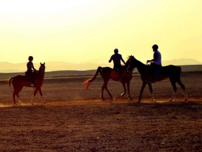 Marsa Alam: Sunrise Horseback with Breakfast - Getting from your hotel (or the stables) to your horse