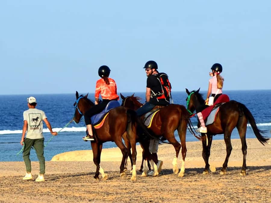 Marsa Alam: Sunrise Horseback with Breakfast - VIP 4-hour horseback: the Red Sea horse swim stop