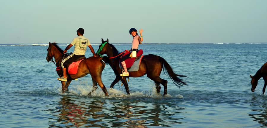 Marsa Alam: Sunrise Horseback with Breakfast - What to pack and wear for a clean, comfortable ride