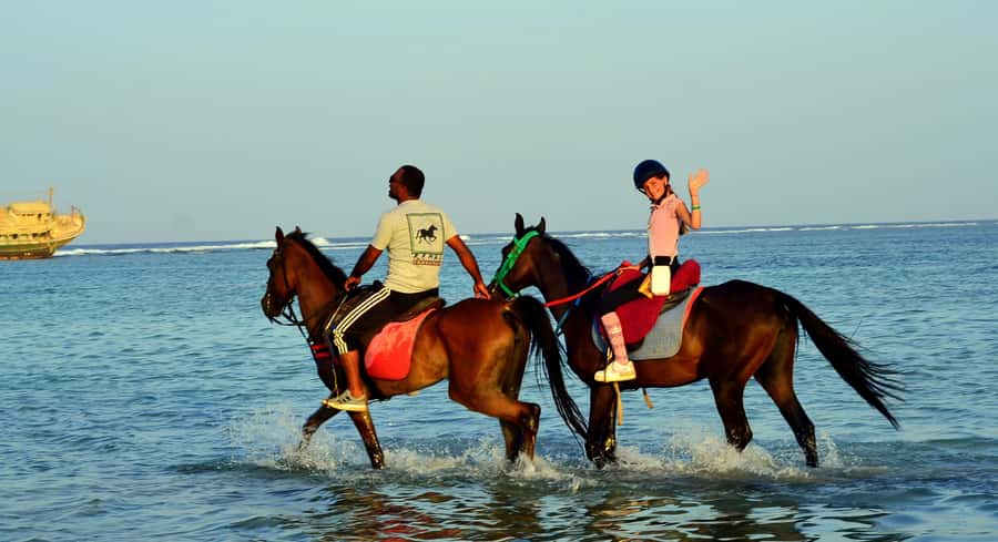Marsa Alam: Sunrise Horseback with Breakfast - Who this tour fits well (and who should skip)
