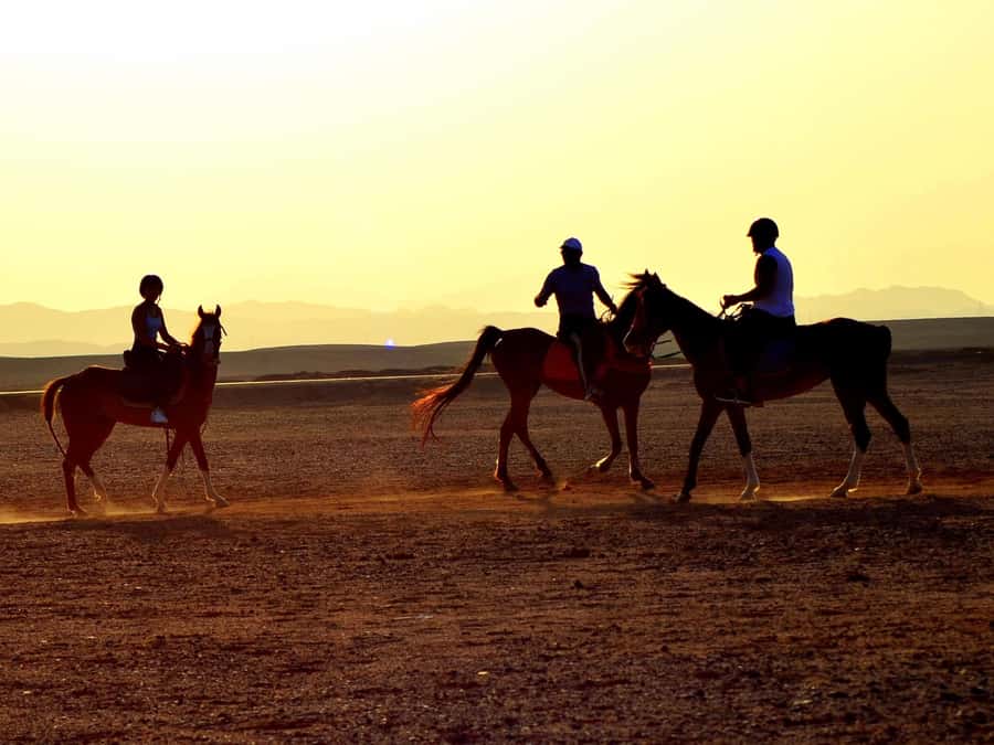 Marsa Alam: Sunrise Horseback with Breakfast - Getting from your hotel (or the stables) to your horse