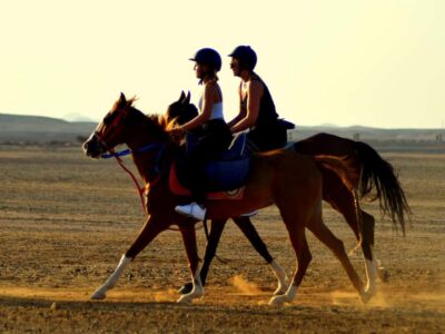 Marsa Alam: Sunset Horseback with Dinner, Show & Stargazing - Pick your option: 2 hours, VIP swim, or dinner + show + stars