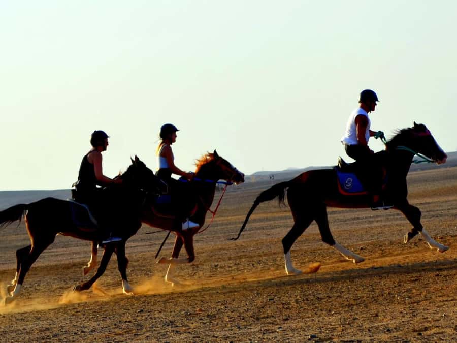 Marsa Alam: Sunset Horseback with Dinner, Show & Stargazing - Sunset horseback through dunes and along the Red Sea