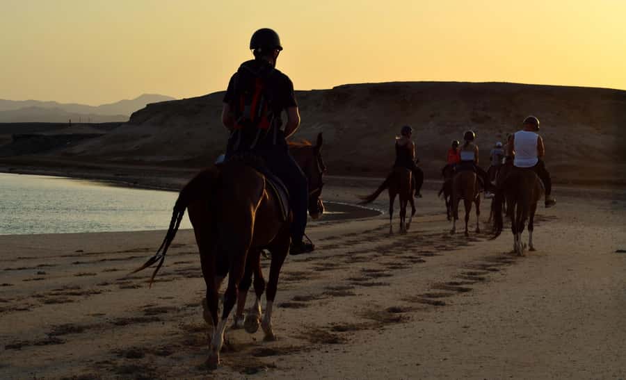 Marsa Alam: Sunset Horseback with Dinner, Show & Stargazing - Guided stargazing: why desert stars feel different