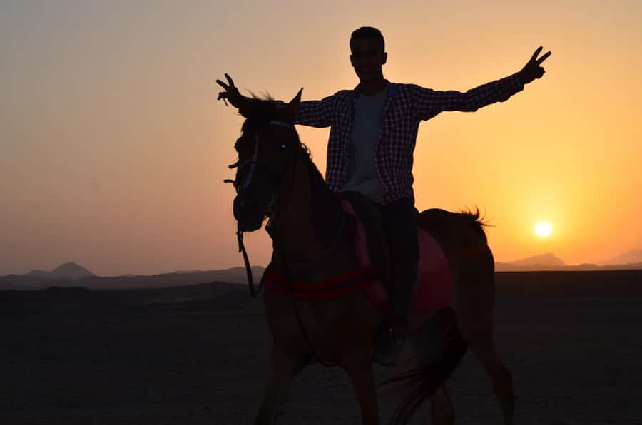 Marsa Alam: Sunset Horseback with Dinner, Show & Stargazing - Horses and staff: calm mounts, real care, and professional guiding