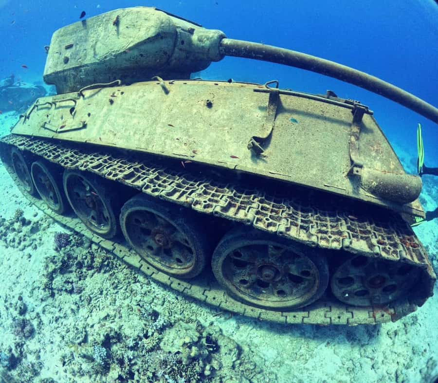 Museum Diving Experience in the Red Sea - A Military Museum setup you won’t get on a normal reef day