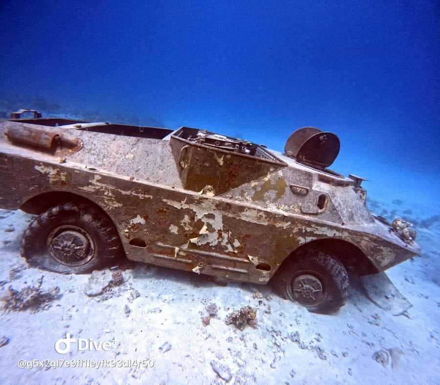 Museum Diving Experience in the Red Sea - The underwater museum: tanks, helicopters, and planes as reef structure
