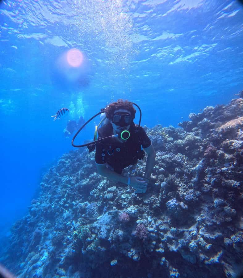 Museum Diving Experience in the Red Sea - Price, extras, and whether it’s good value at $61