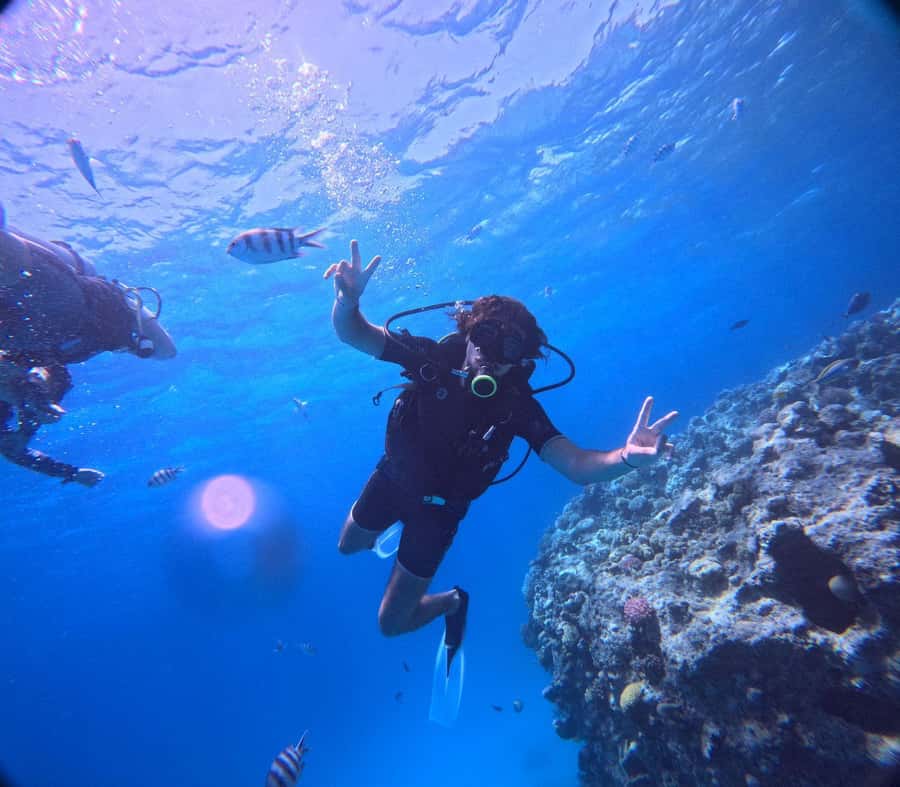 Museum Diving Experience in the Red Sea - Who this Military Museum scuba experience suits best