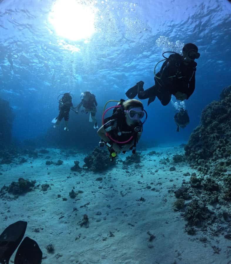 Museum Diving Experience in the Red Sea - Possible downside: when the museum theme doesn’t land