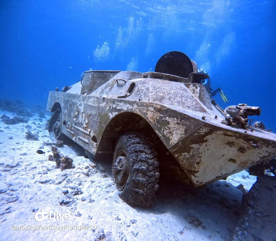 Museum Diving Experience in the Red Sea - Should you book Sea Secret Diving for the Military Museum day?
