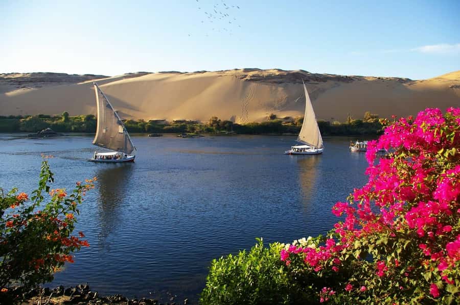 Private Felucca Ride on the Nile River - The 2-Hour Plan: What Happens Before the Boat