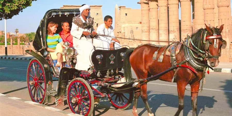 Private Tour Alexandria By Night By Horse Carriage ride - Key highlights you’ll care about