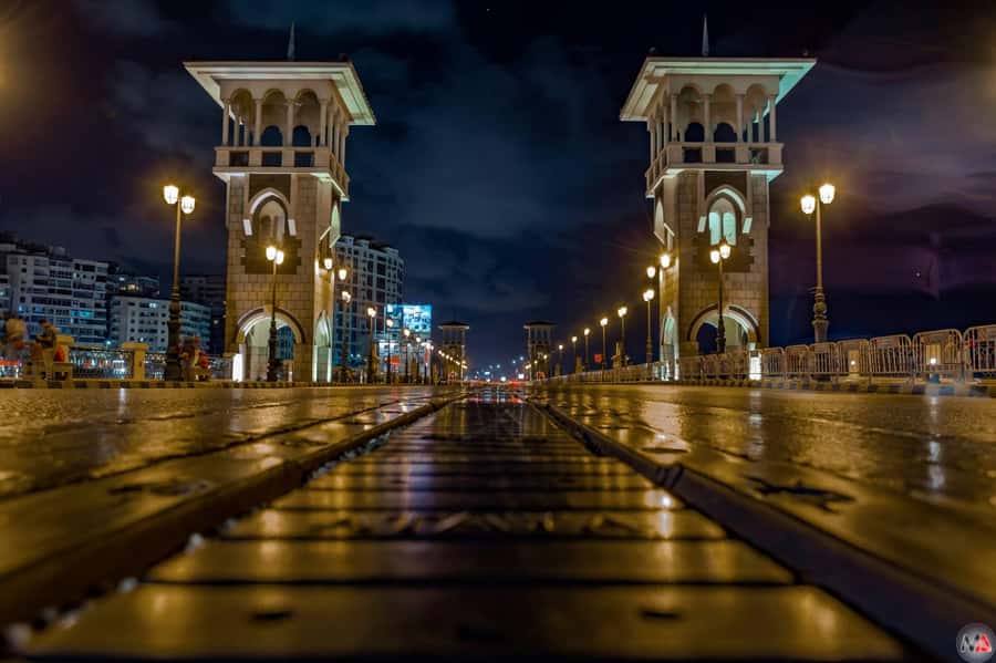 Private Tour Alexandria By Night By Horse Carriage ride - Traditional horse carriage: the part you should confirm before you book