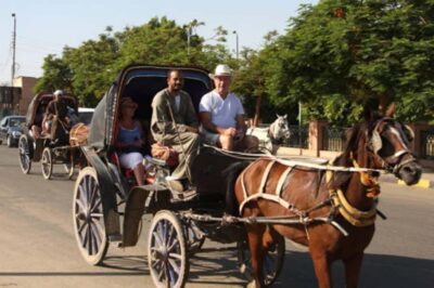 Private Tour Alexandria By Night By Horse Carriage ride - Pickup in Alexandria, then private A/C transport does the heavy lifting