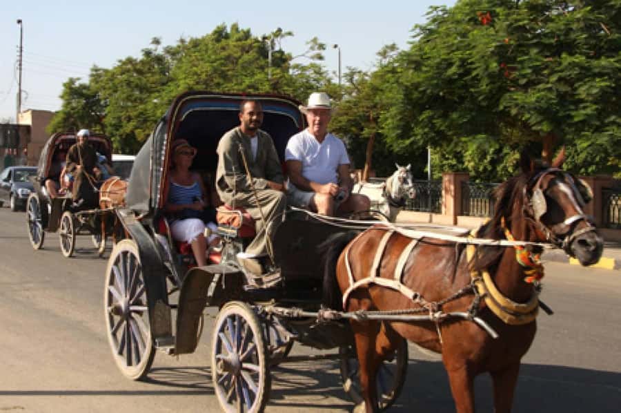 Private Tour Alexandria By Night By Horse Carriage ride - Pickup in Alexandria, then private A/C transport does the heavy lifting