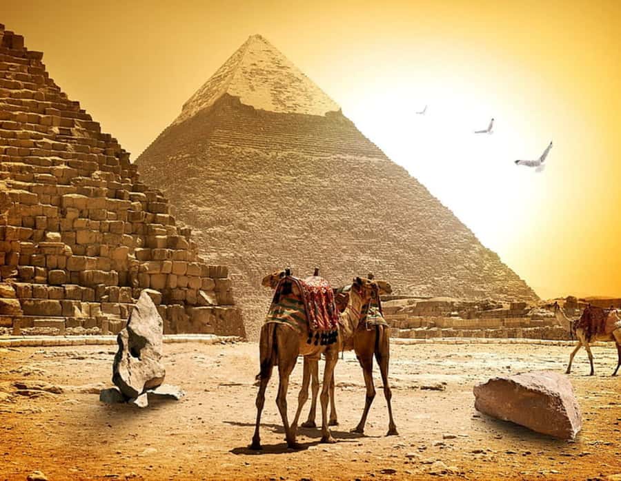 Pyramids, Sakkara & Memphis Private Tour with Lunch - Giza Pyramids and the Sphinx: what you really get for your money