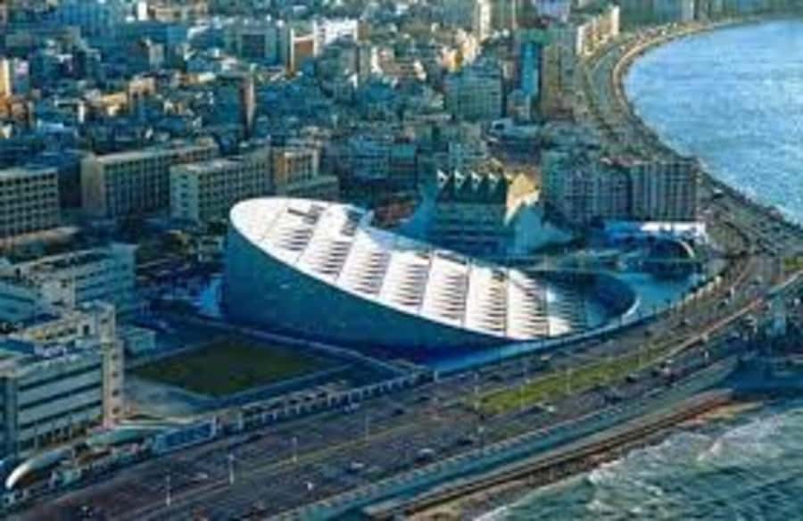 Royal Alexandria Day Trip: An Exclusive VIP Experience - The Unknown Soldier memorial and Stanley Bridge: quick context stops