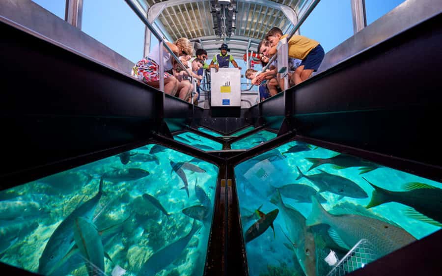 Sharm El-Sheik: Coral Reef Glass-Bottom Boat Tour - Key Points That Matter
