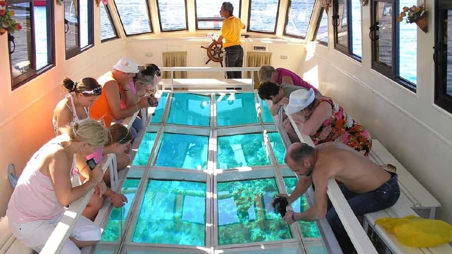 Sharm El-Sheik: Coral Reef Glass-Bottom Boat Tour - Why a Glass-Bottom Boat Makes Red Sea Sense