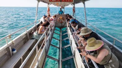 Sharm El-Sheik: Coral Reef Glass-Bottom Boat Tour - The Route: Naama Bay to Near Garden and Far Garden